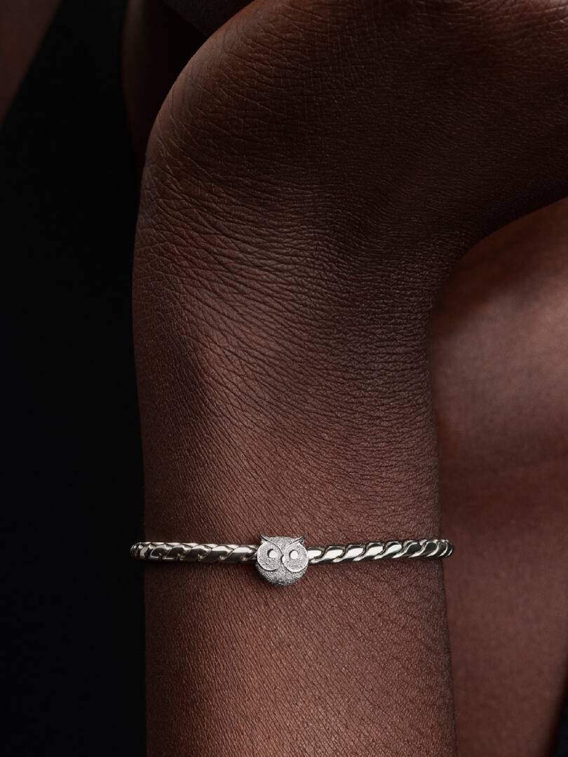 Pandora Mini Charm Gufo effetto diamantato 794525C00