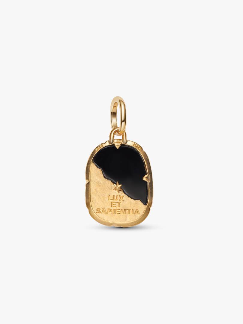 Charm Medallion Gufo "Lux Et Sapientia" 764805C01