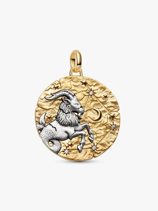 Charm Medallion XL Capricorno "Nihil Difficile Volenti" 764999C01