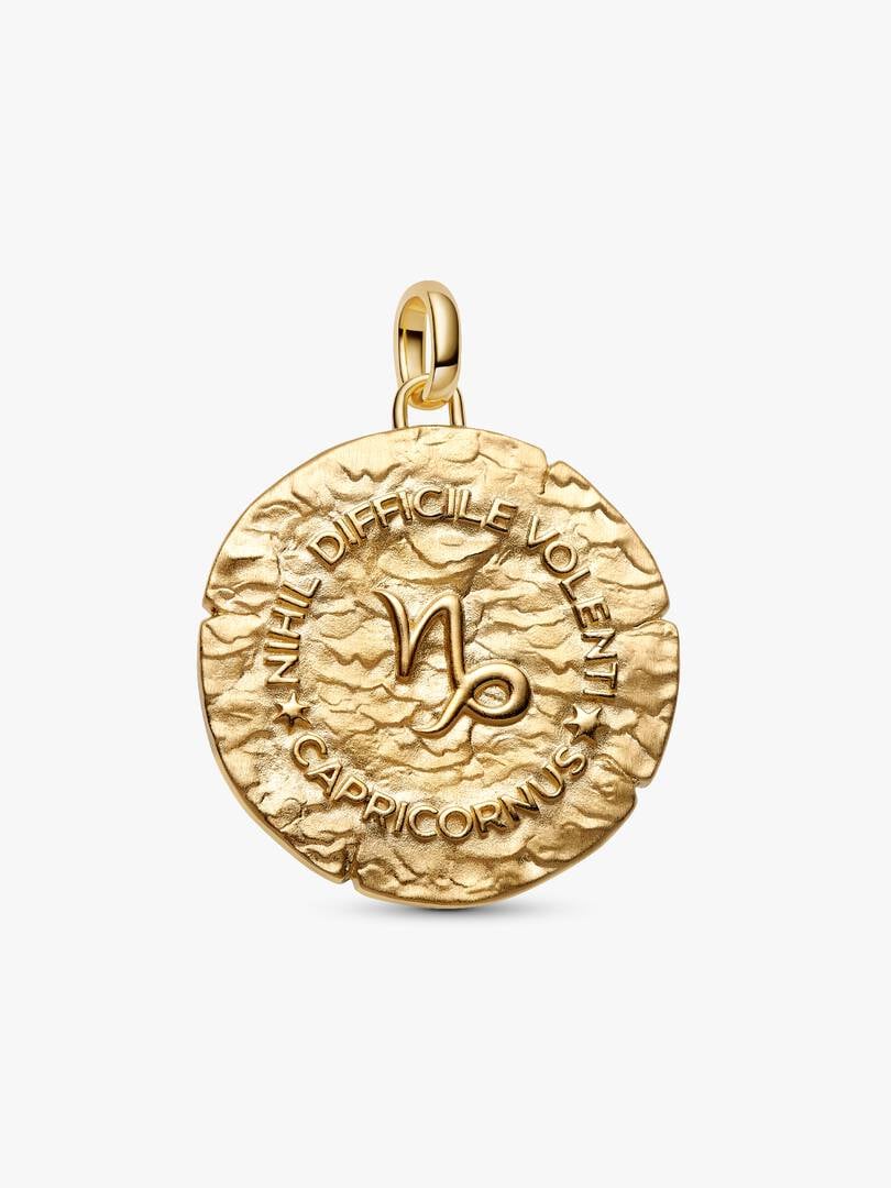 Charm Medallion XL Capricorno "Nihil Difficile Volenti" 764999C01