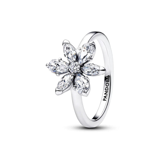 Pandora Anello in argento sterling con ciondolo a forma di erbario e zirconi cubici trasparenti 193000C02